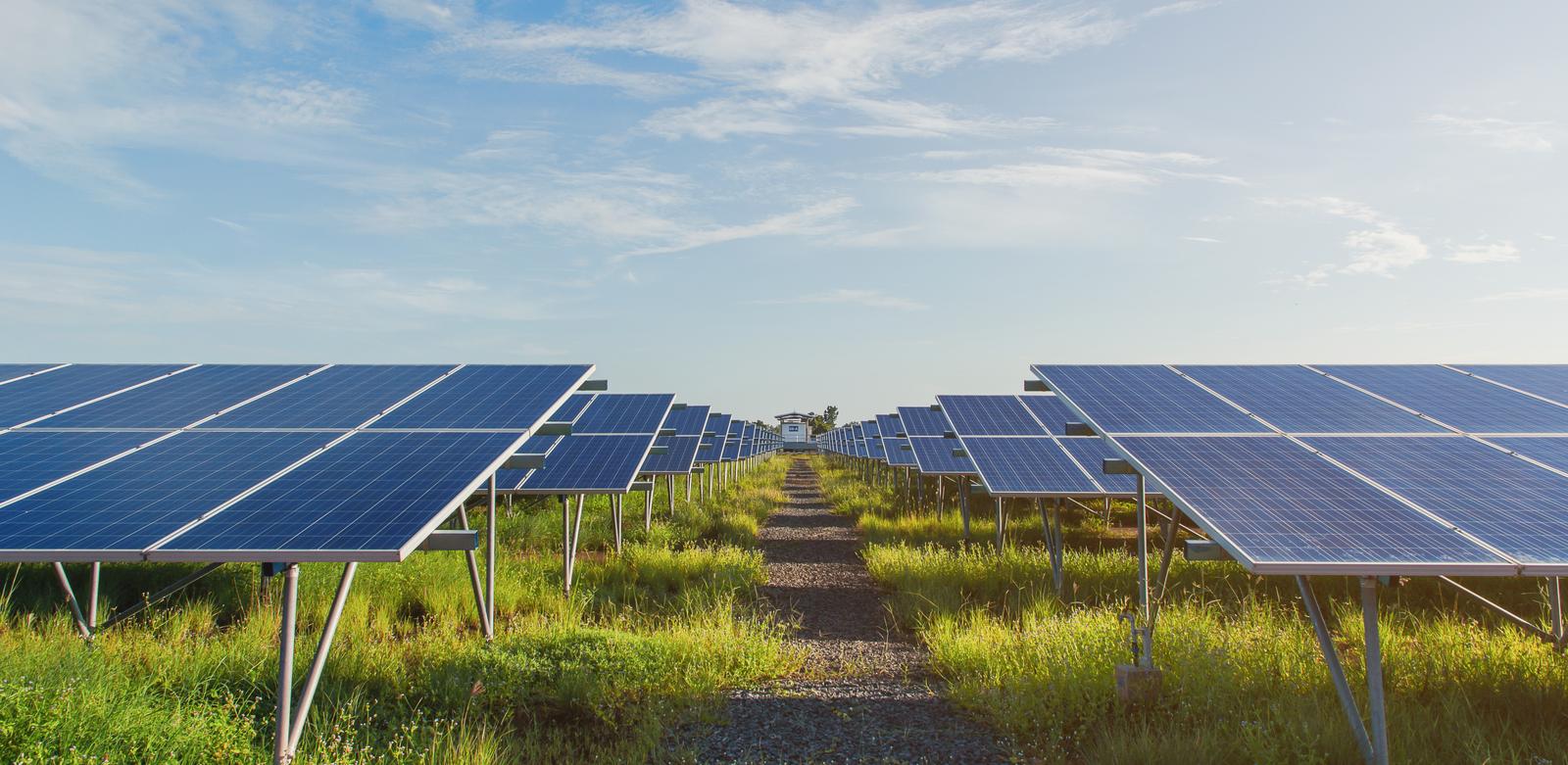 Solar panels in field