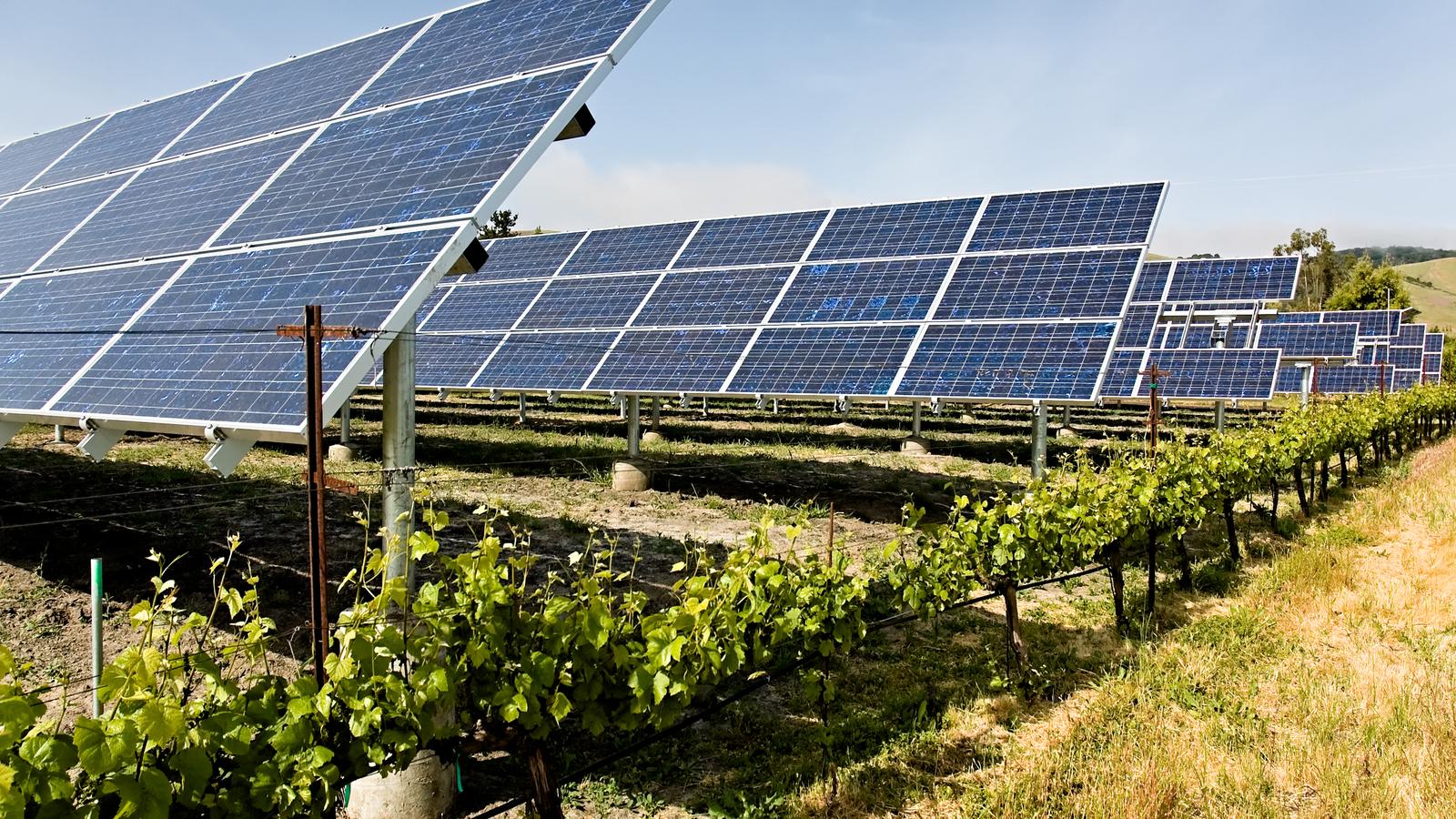 California Agricultural Solar Farm Agricultural Solar in California field