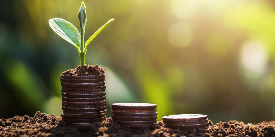 Progressively larger stack of coins in soil